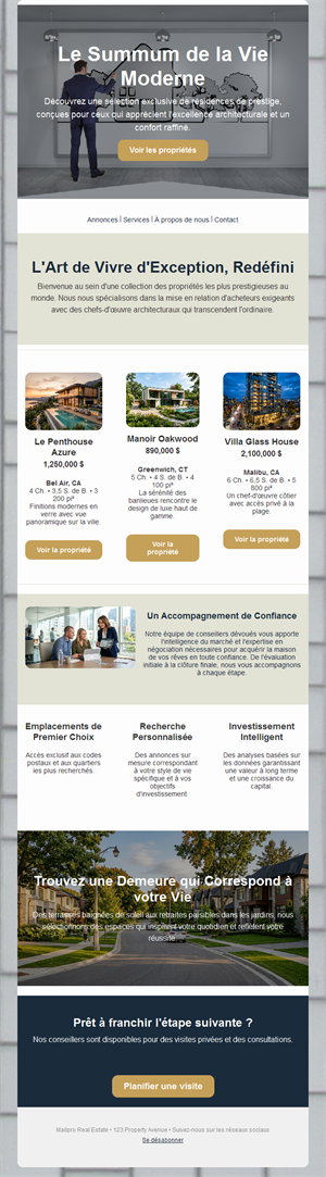 Real Estate Marketing Email